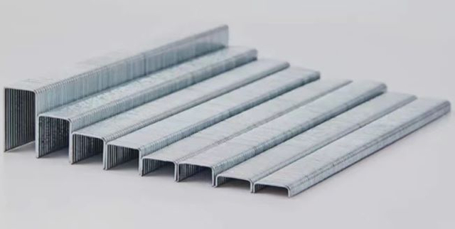 Staples Series Nails 